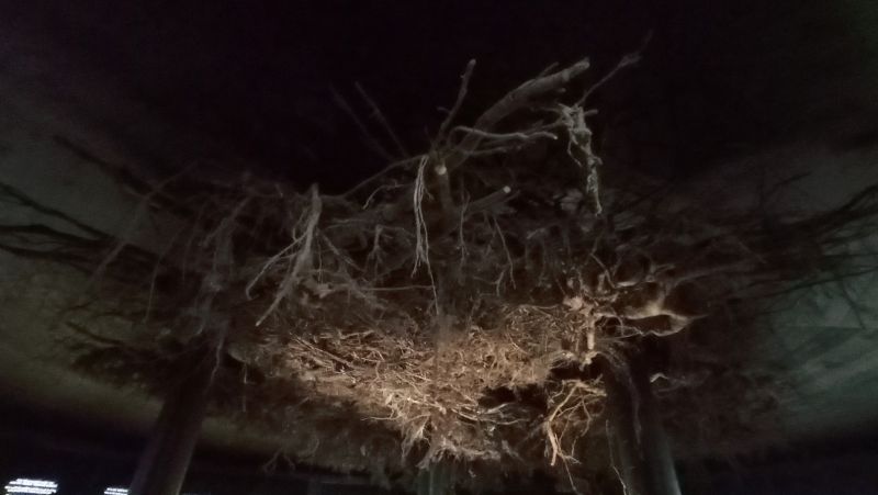Stezka korunami stromů Krkonoše - podzemí - klikněte pro zobrazení detailu