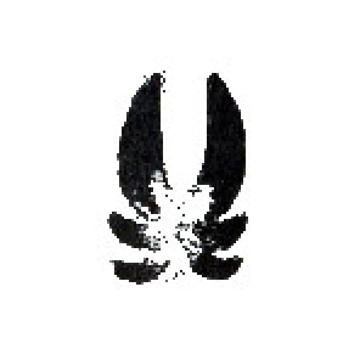 zobrazit detail snímku: Kančí stopy