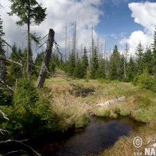 Šumava