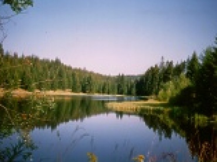 zobrazit detail snímku: Šumavské jezero