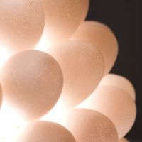 Stínítko na lampu ze skořápek - klikněte pro zobrazení detailu