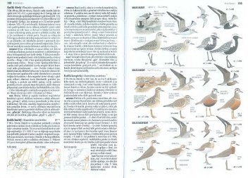 Ukázka z Knihy - klikněte pro zobrazení detailu