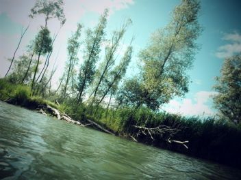 Syrovinka - klikněte pro zobrazení detailu