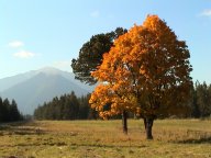 Tatry