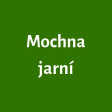 Mochna jarní