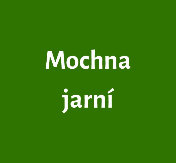 zobrazit detail snímku: Mochna jarní