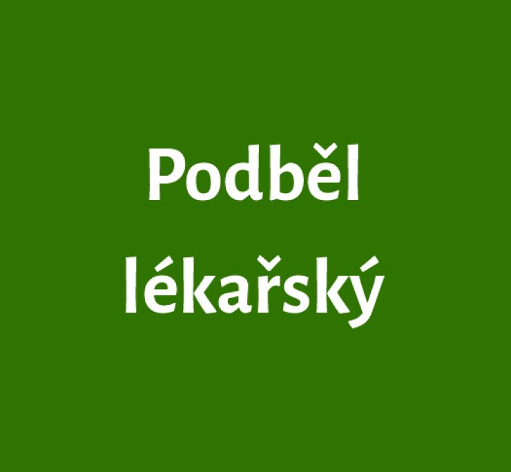 zobrazit detail snímku: Podběl lékařský