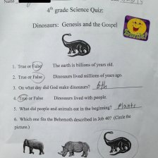 Ukázka ze školních testů podle kreacionismu