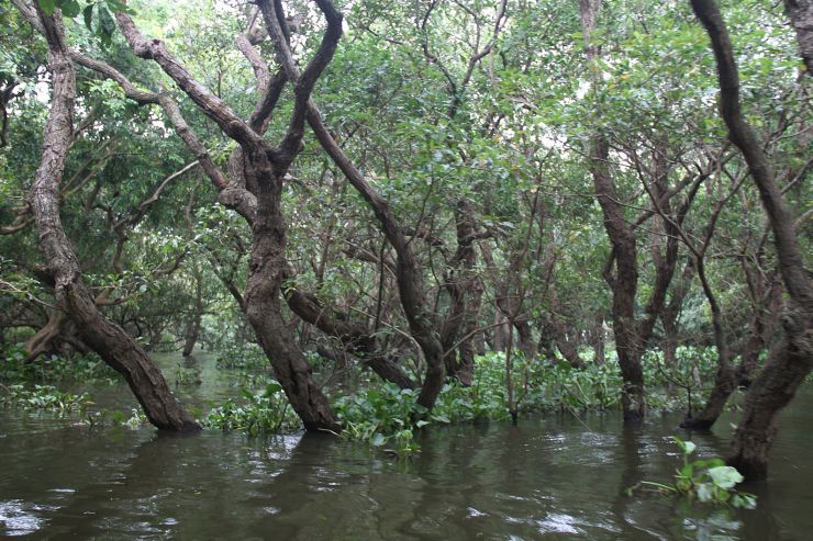 zobrazit detail snímku: Jezero Tonle Sap
