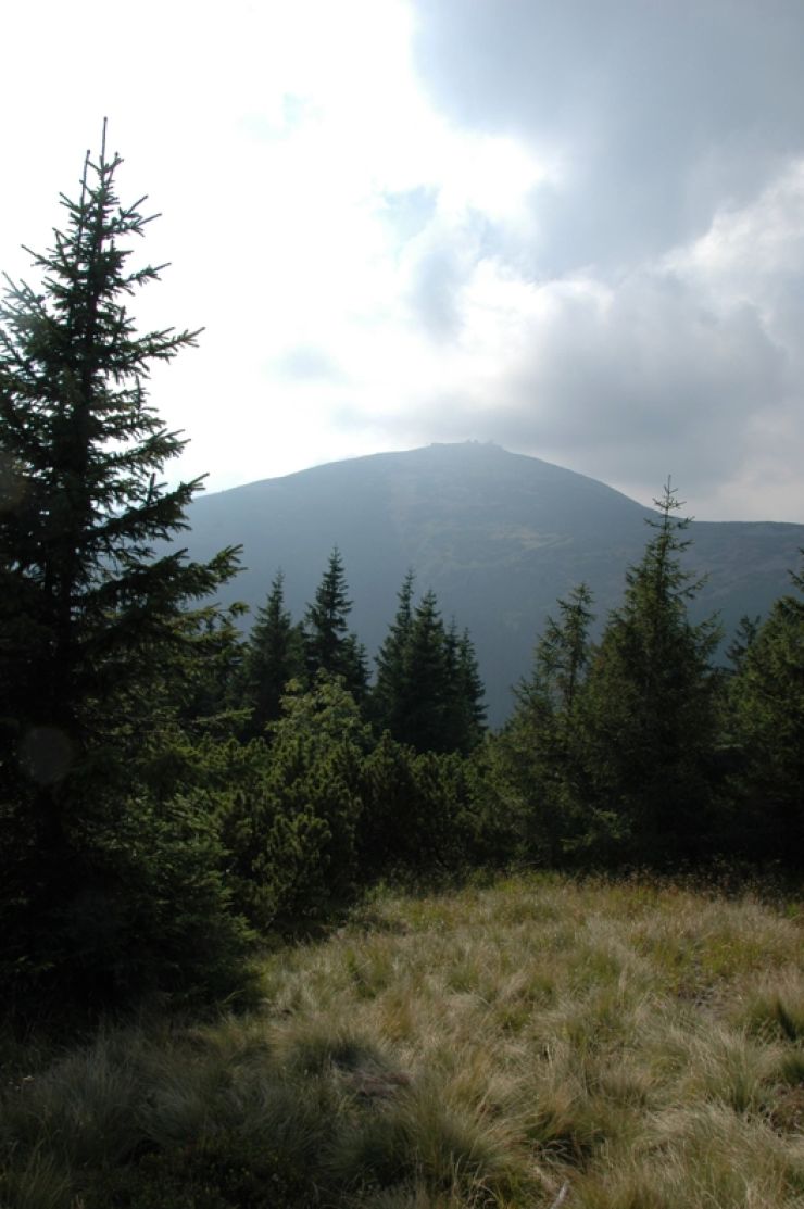 zobrazit detail snímku: Sněžka z traverzu Svorové hory a Obřího vrchu