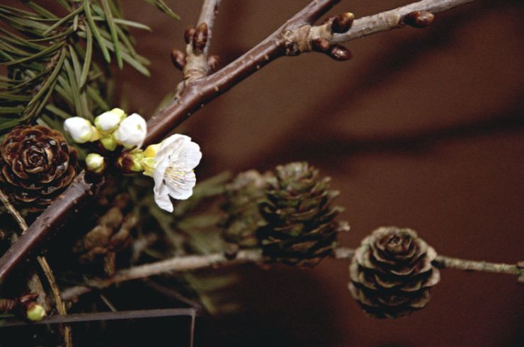 zobrazit detail snímku: Barborka