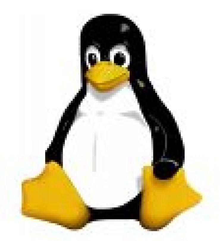 zobrazit detail snímku: Linuxitus