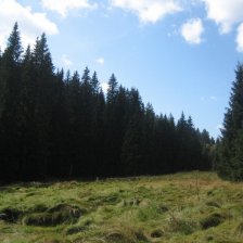 Údolí Roklanského potoka