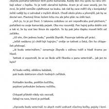 Ukázka 1