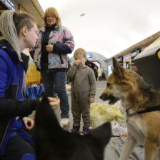 Lidé a psi ukrývající se v metru.