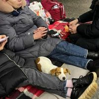 Úkryt ve stanici metra. - klikněte pro zobrazení detailu