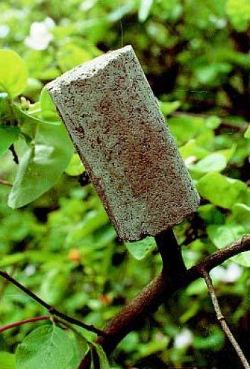 Úkryt pro škvory - klikněte pro zobrazení detailu Úkryt pro škvory - klikněte pro zobrazení detailu