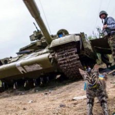 Válka na Ukrajině a domácí mazlíčci: jak můžeme zvířatům na Ukrajině pomoci?