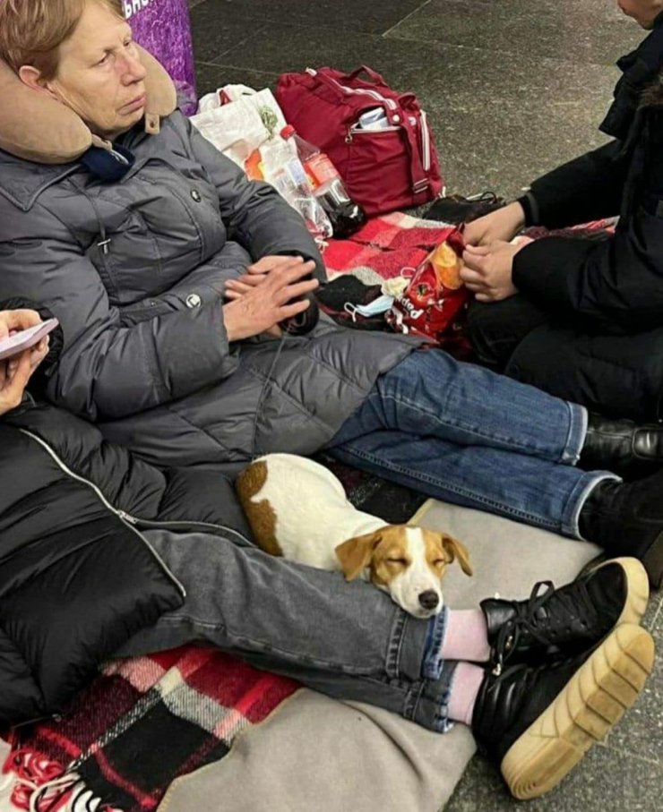 zobrazit detail snímku: Úkryt ve stanici metra.