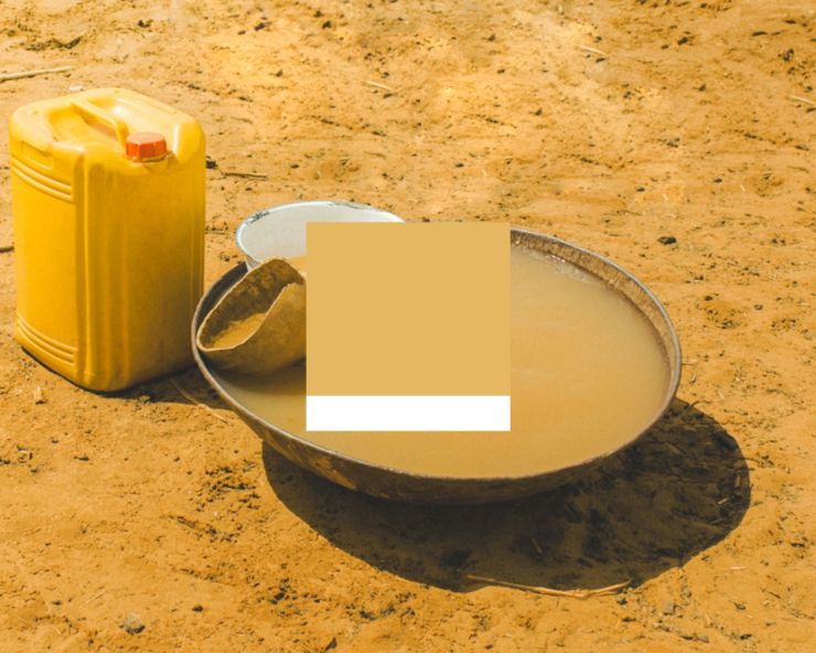 zobrazit detail snímku: Hořcicově žlutá