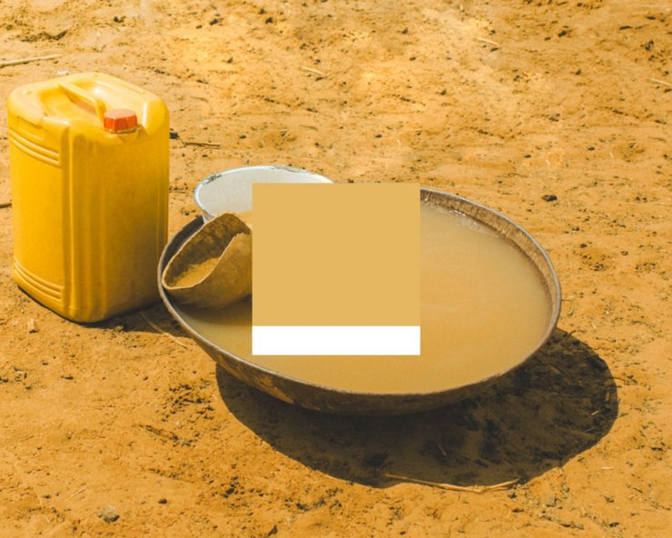zobrazit detail snímku: Hořcicově žlutá