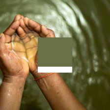 Lesní zelená