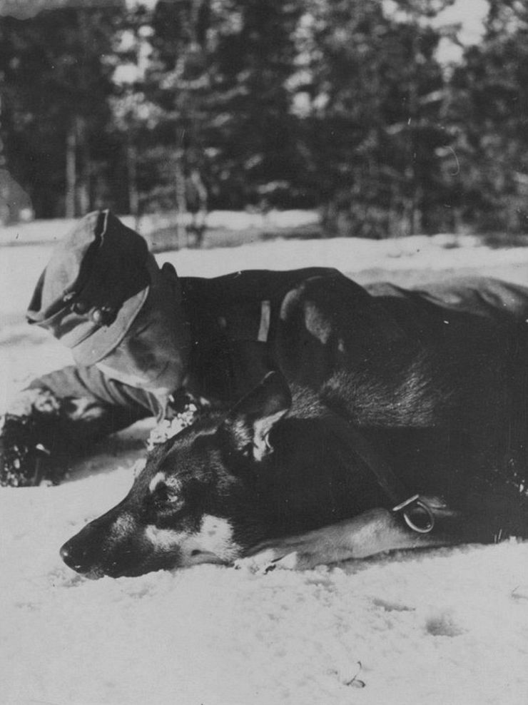 zobrazit detail snímku: Voják z druhé světové války