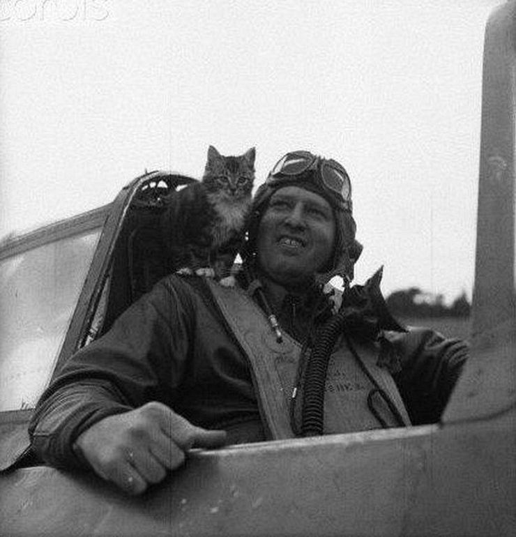zobrazit detail snímku: Pilot z druhé světové války
