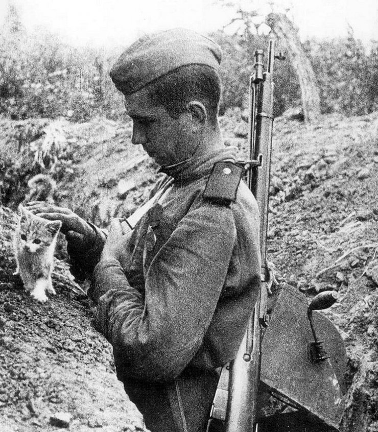 zobrazit detail snímku: Voják z druhé světové války