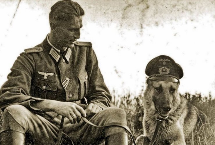 zobrazit detail snímku: Voják z druhé světové války