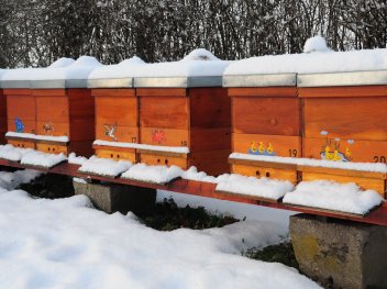 Včelí úly v zimě. - klikněte pro zobrazení detailu
