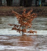 Povodně poničily i národní park KRNAP: Víkendové srážky působily škody i na majetku…