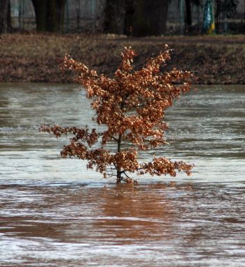 Ilustrační foto - klikněte pro zobrazení detailu Ilustrační foto - klikněte pro zobrazení detailu