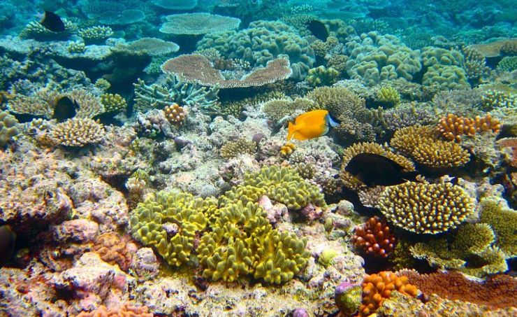 zobrazit detail snímku: 