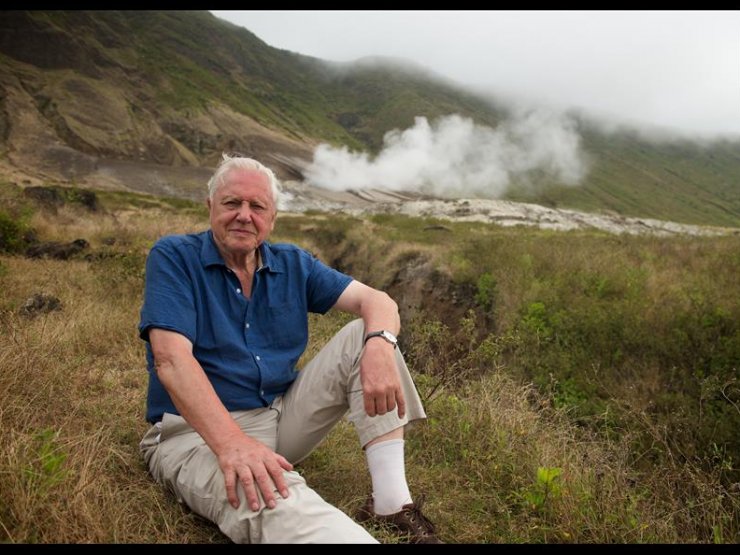 zobrazit detail snímku: Sir David Attenborough