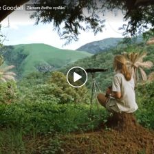 Záznam přednášky Jane Goodall v Praze.