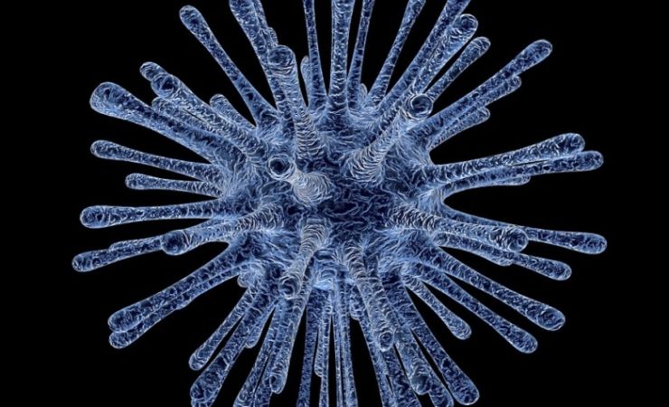 zobrazit detail snímku: Ilustrační fotografie