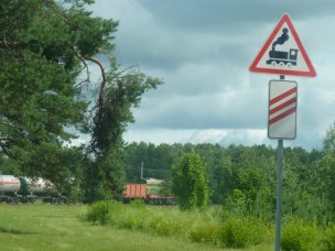 Všude lesy - klikněte pro zobrazení detailu
