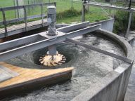 Vodní energie: Jaké jsou technologické novinky a možnosti ČR? Vodní energie: Jaké jsou technologické novinky a možnosti ČR?: Pojďme se podívat na vodu! Vodní energie zdaleka…