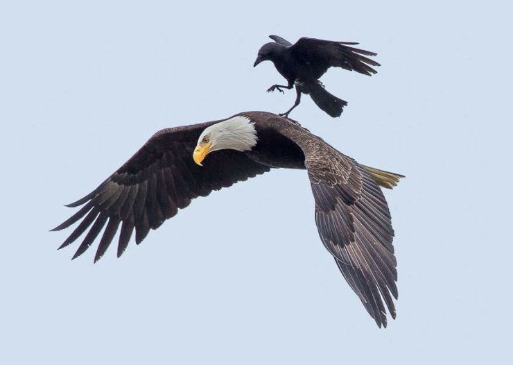 zobrazit detail snímku: Přiblížení se k přistání