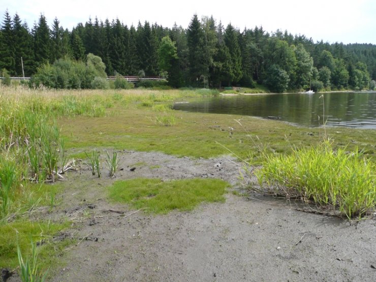 zobrazit detail snímku: Pohled do zátoky Vřesná směrem k parkovišti