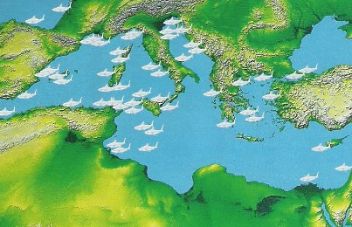 Mapa výskytu žraloka ve středozemním moři - klikněte pro zobrazení detailu
