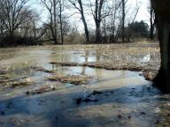 Kulminace a záplavy na labském náhonu mezi Opatovicemi a Vysokou n/L: Meteorologové sice nepředpokládají velké…