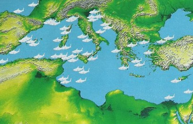 zobrazit detail snímku: Mapa výskytu žraloka ve středozemním moři