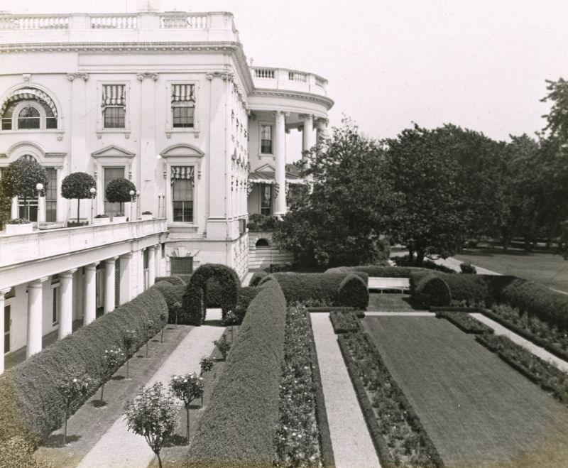 Růžová zahrada Bílého domu, rok 1921. - klikněte pro zobrazení detailu