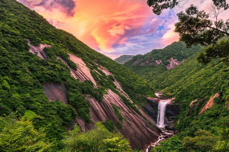zobrazit detail snímku: Yakushima 1
