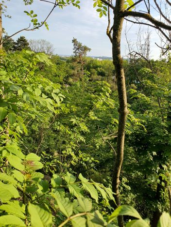 Udolí Zaječího potoka. - klikněte pro zobrazení detailu Udolí Zaječího potoka. - klikněte pro zobrazení detailu