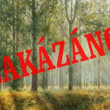 Zakázáno!