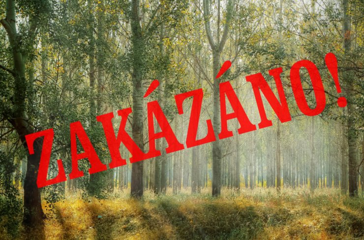zobrazit detail snímku: Zakázáno!