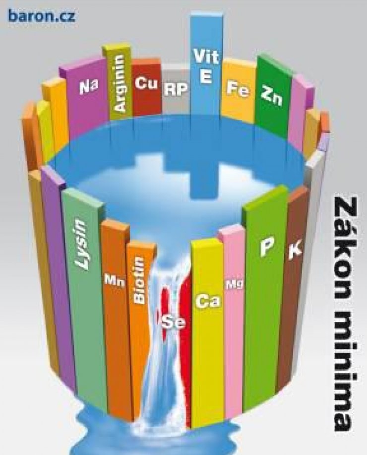 zobrazit detail snímku: zákon minima